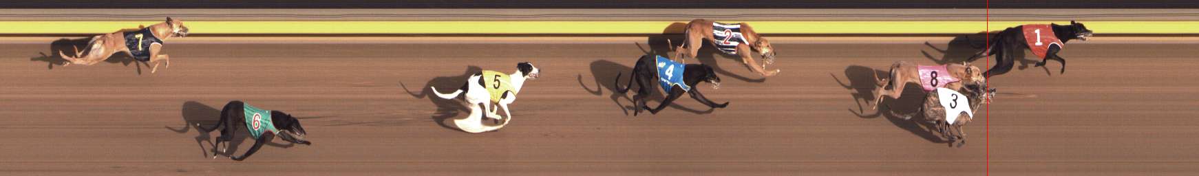 Photo finish for Shepparton Race 13