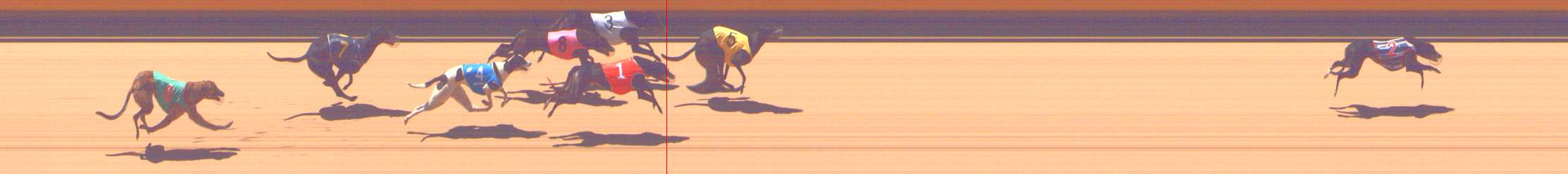 Photo finish for Shepparton Race 3