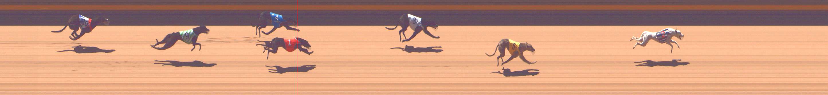 Photo finish for Shepparton Race 1