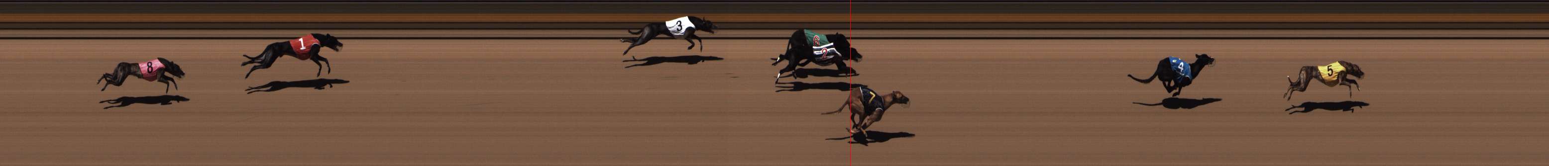 Photo finish for Shepparton Race 10