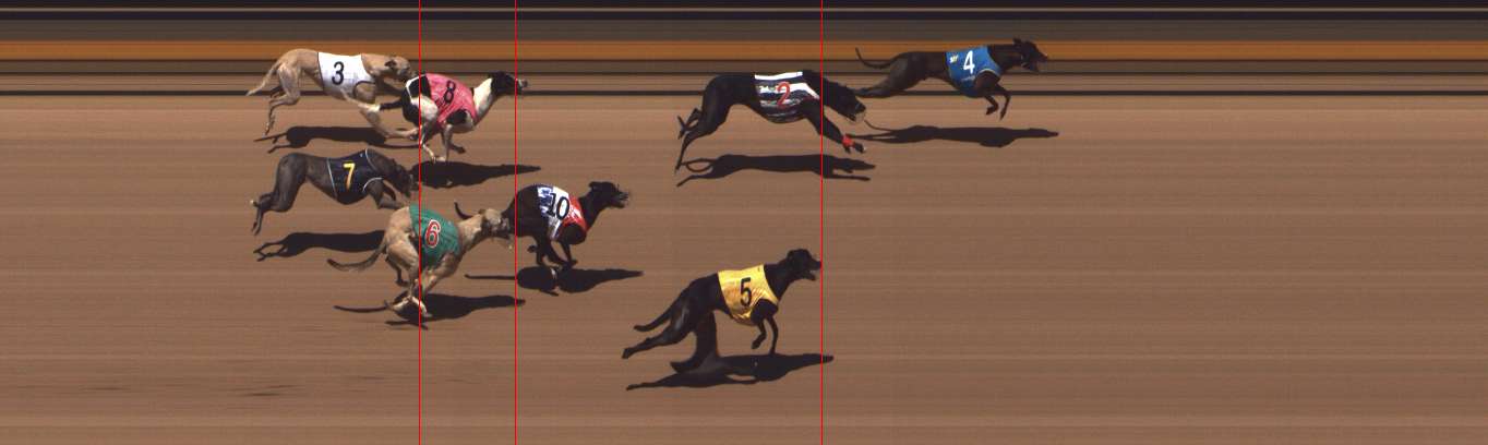Photo finish for Shepparton Race 11