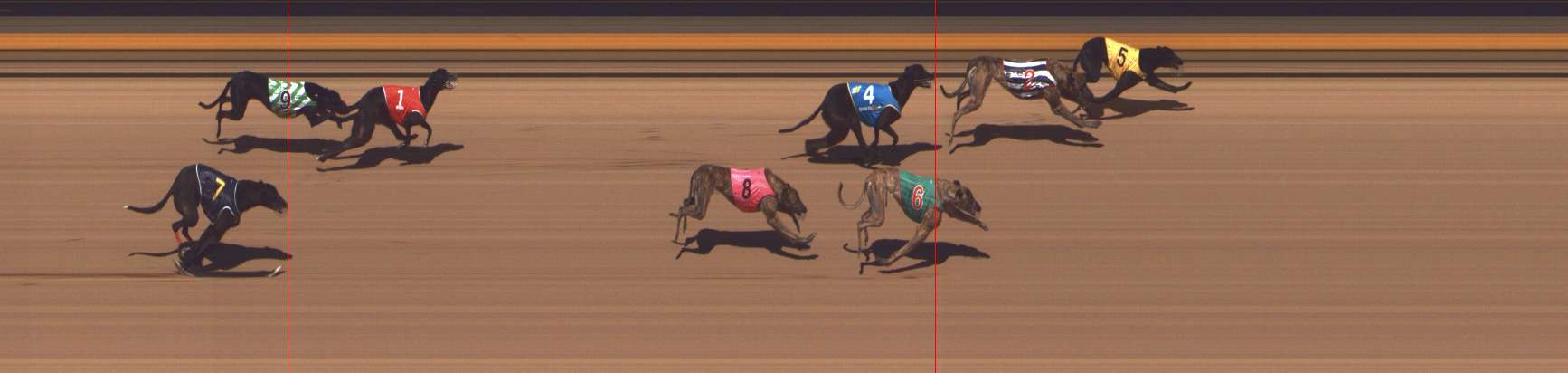 Photo finish for Shepparton Race 12