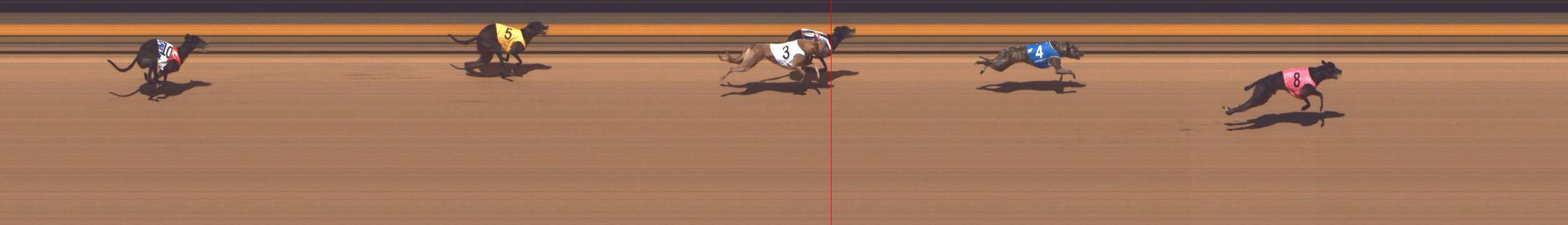 Photo finish for Shepparton Race 13