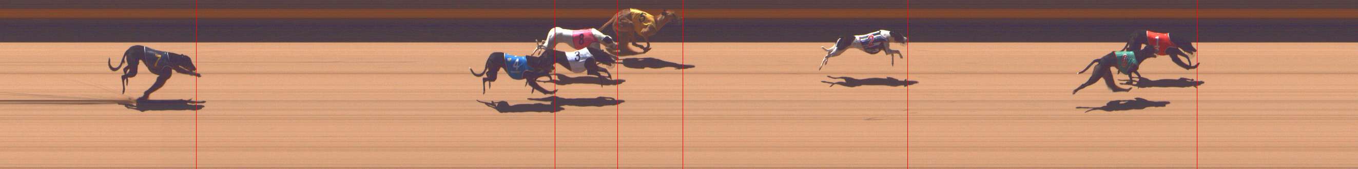 Photo finish for Shepparton Race 2