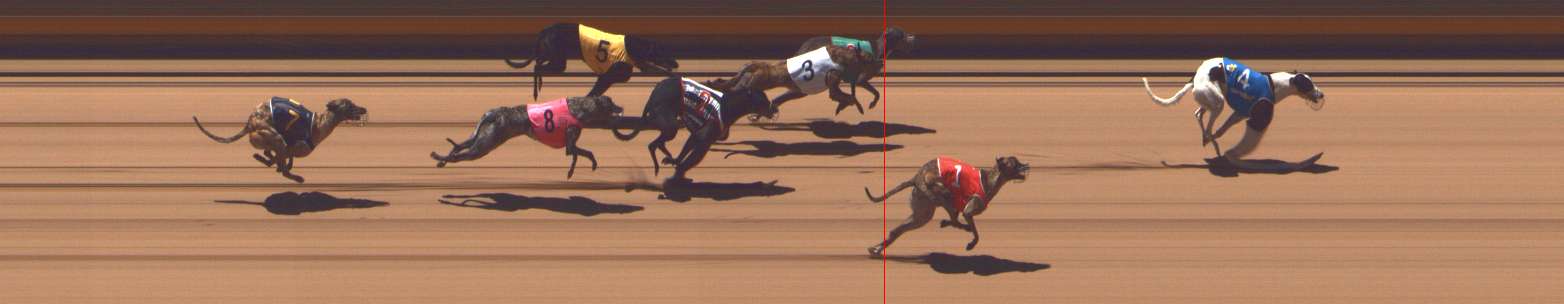 Photo finish for Shepparton Race 5