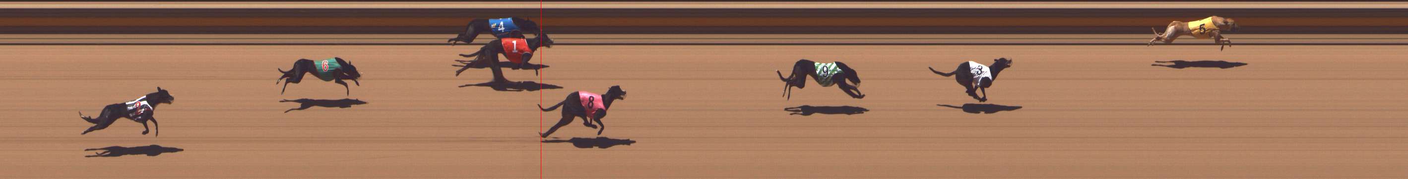 Photo finish for Shepparton Race 7