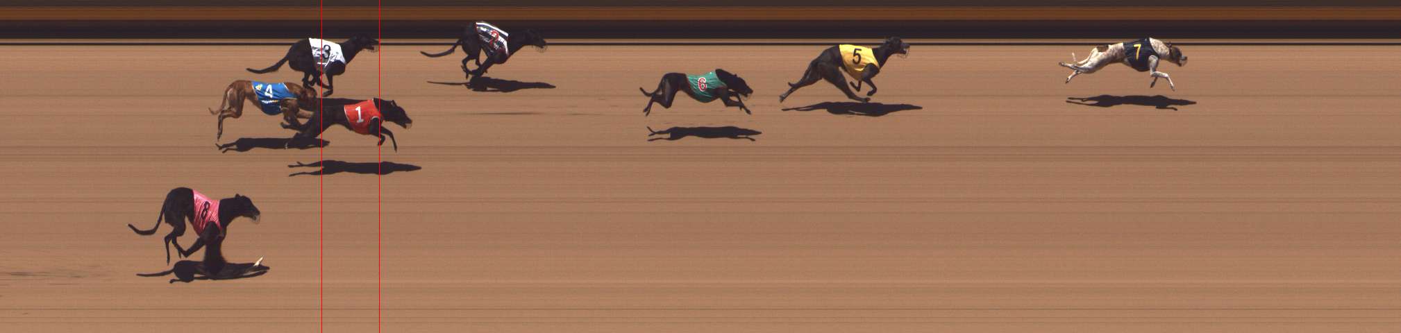 Photo finish for Shepparton Race 8
