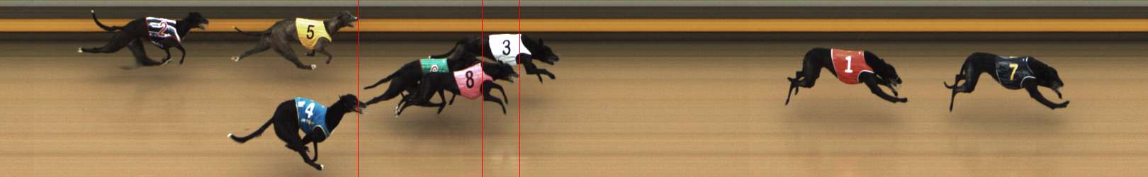 Photo finish for Shepparton Race 1
