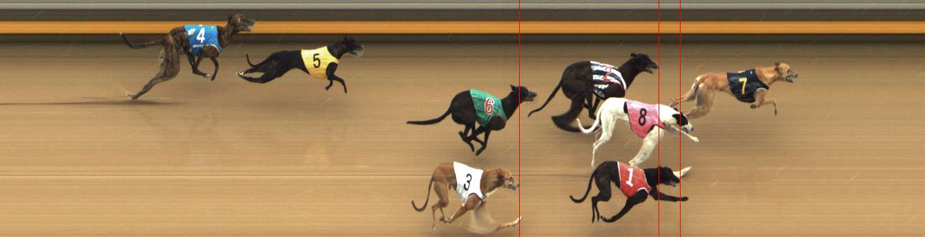 Photo finish for Shepparton Race 2