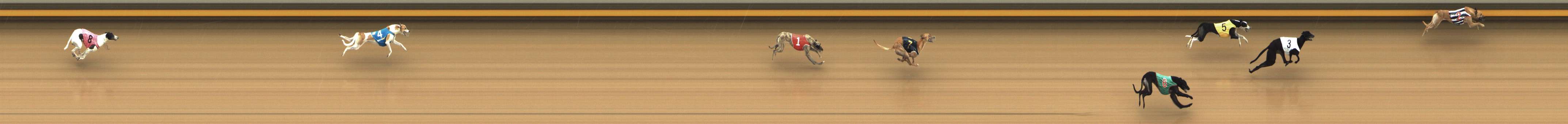 Photo finish for Shepparton Race 3