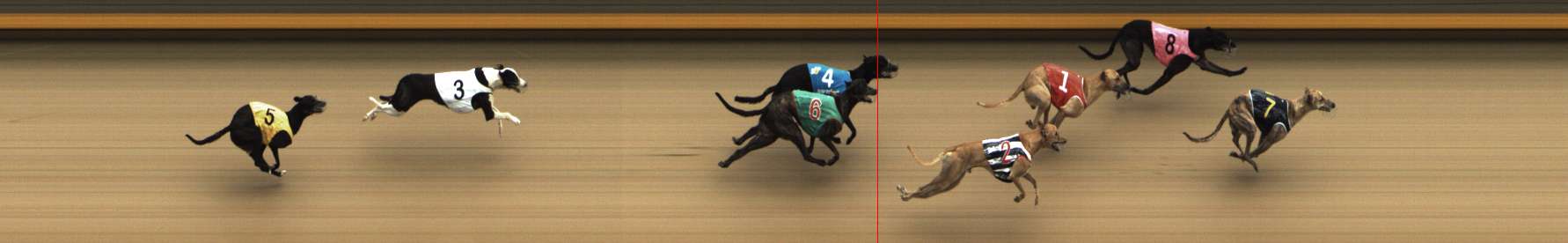 Photo finish for Shepparton Race 5