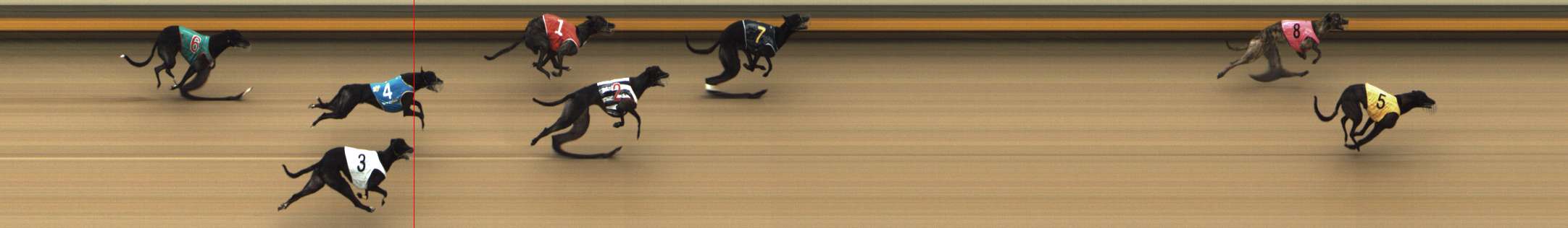 Photo finish for Shepparton Race 6