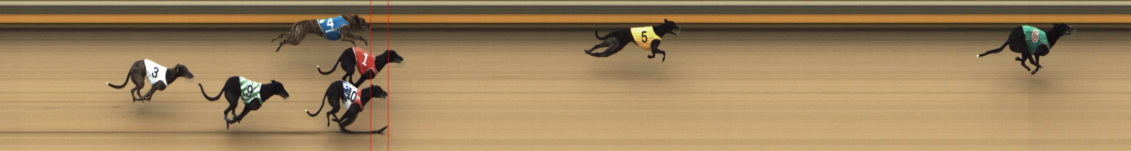 Photo finish for Shepparton Race 7