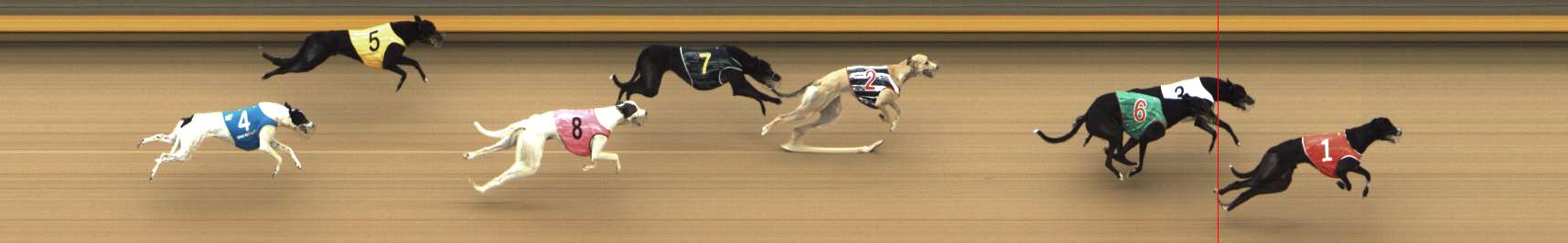 Photo finish for Shepparton Race 8