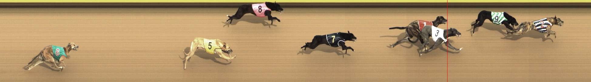 Photo finish for Shepparton Race 9