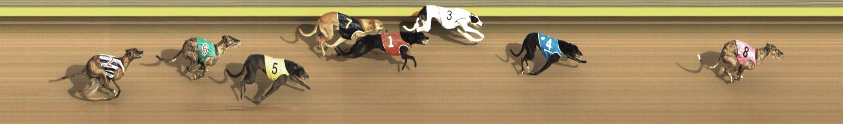Photo finish for Shepparton Race 11