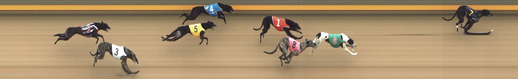 Photo finish for Shepparton Race 12