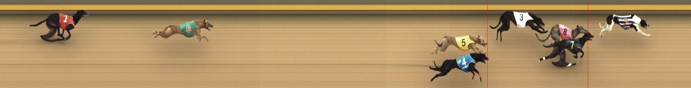 Photo finish for Shepparton Race 13