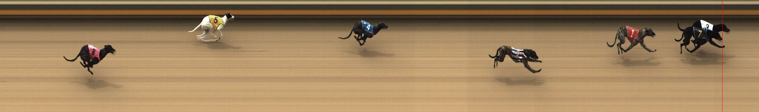 Photo finish for Shepparton Race 1