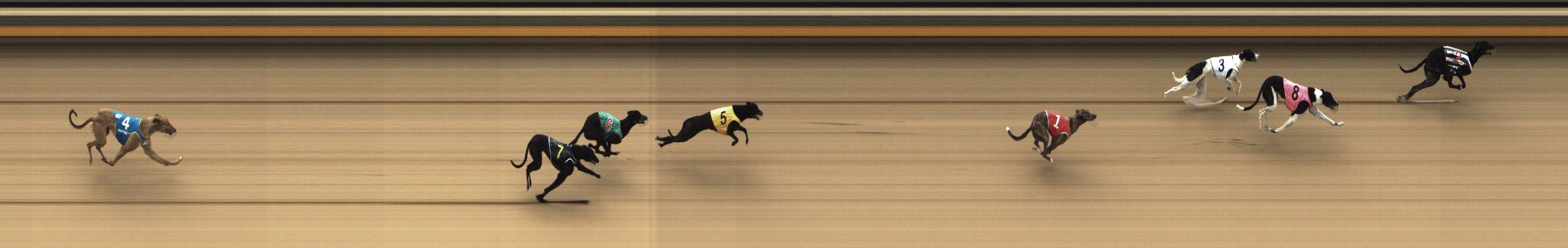 Photo finish for Shepparton Race 2