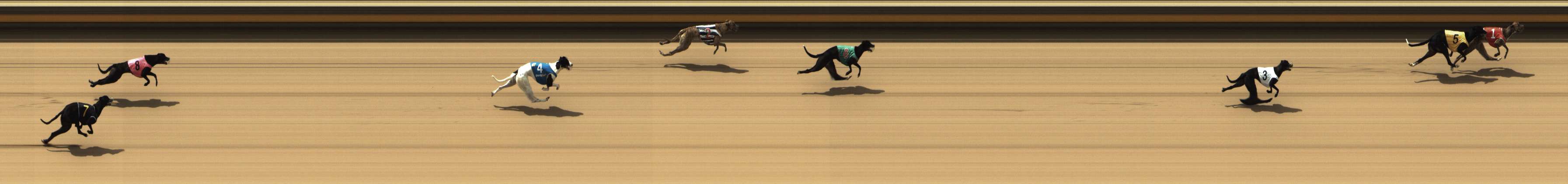 Photo finish for Shepparton Race 3