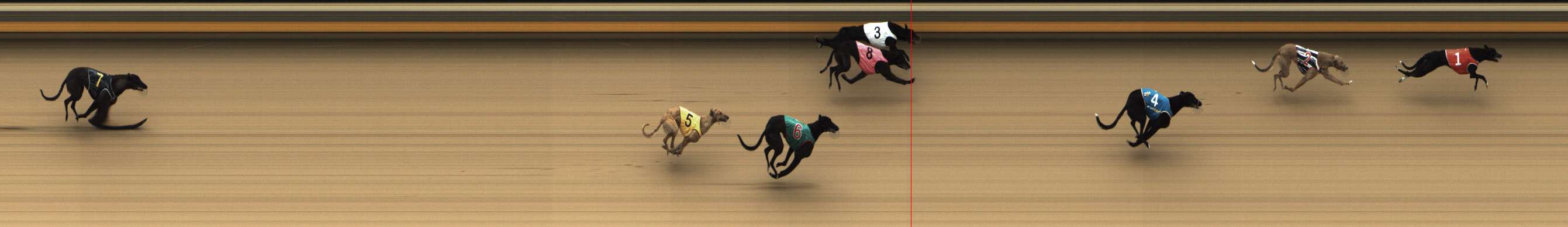 Photo finish for Shepparton Race 4