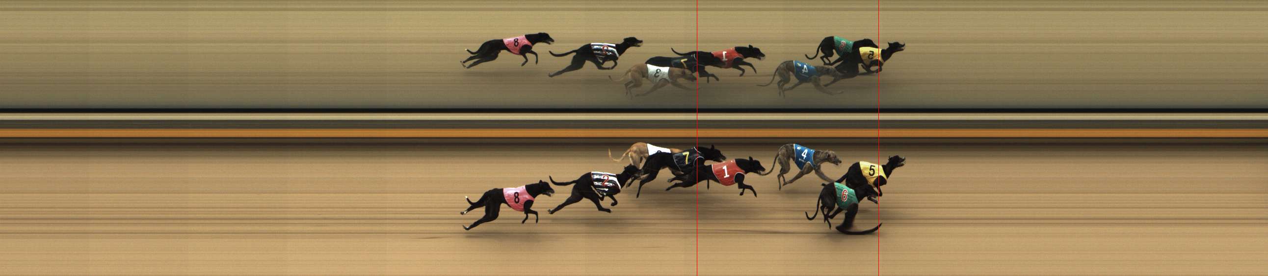 Photo finish for Shepparton Race 5