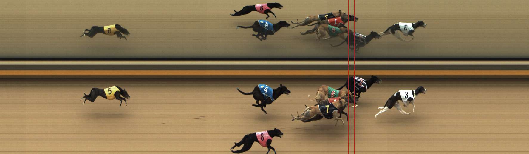 Photo finish for Shepparton Race 6