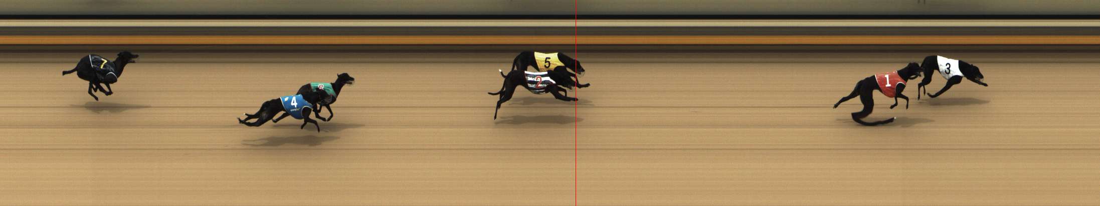 Photo finish for Shepparton Race 7