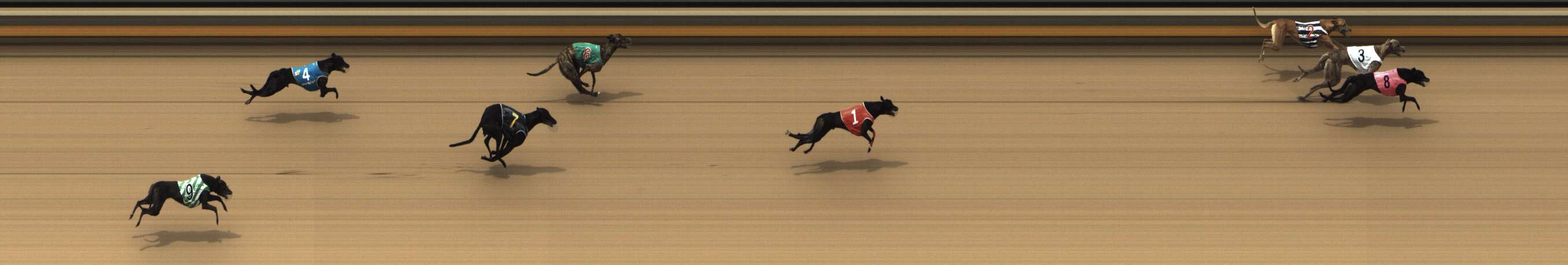 Photo finish for Shepparton Race 8