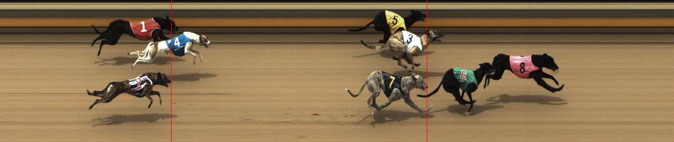 Photo finish for Shepparton Race 9