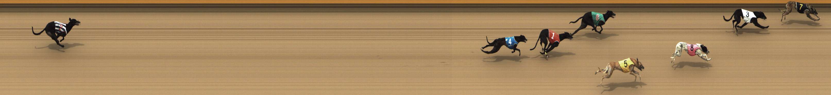 Photo finish for Shepparton Race 11