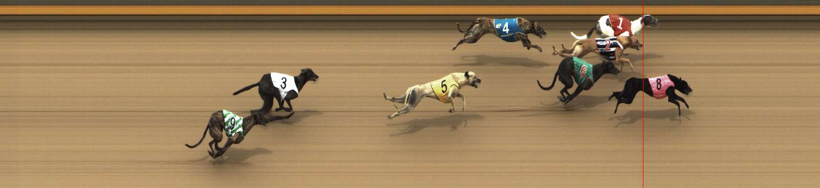 Photo finish for Shepparton Race 12