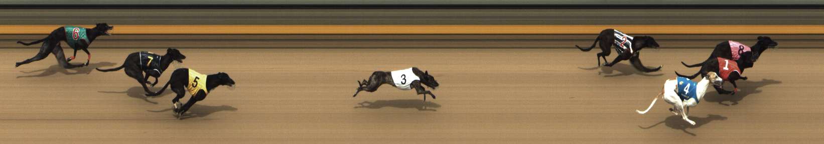 Photo finish for Shepparton Race 13