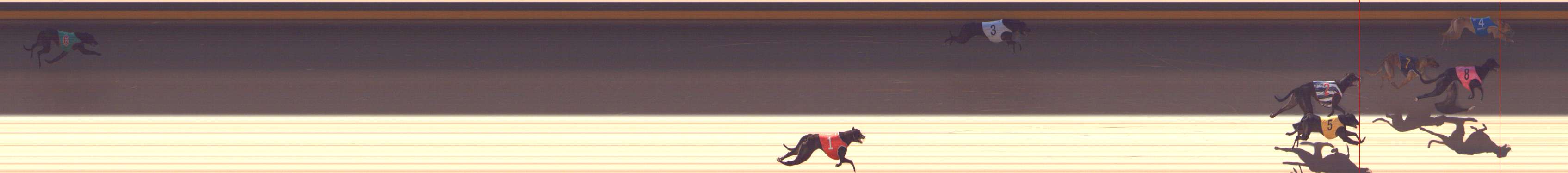 Photo finish for Shepparton Race 1
