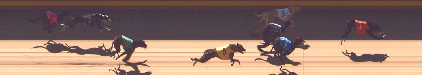 Photo finish for Shepparton Race 4