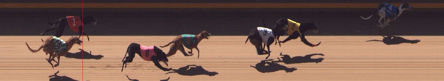 Photo finish for Shepparton Race 6