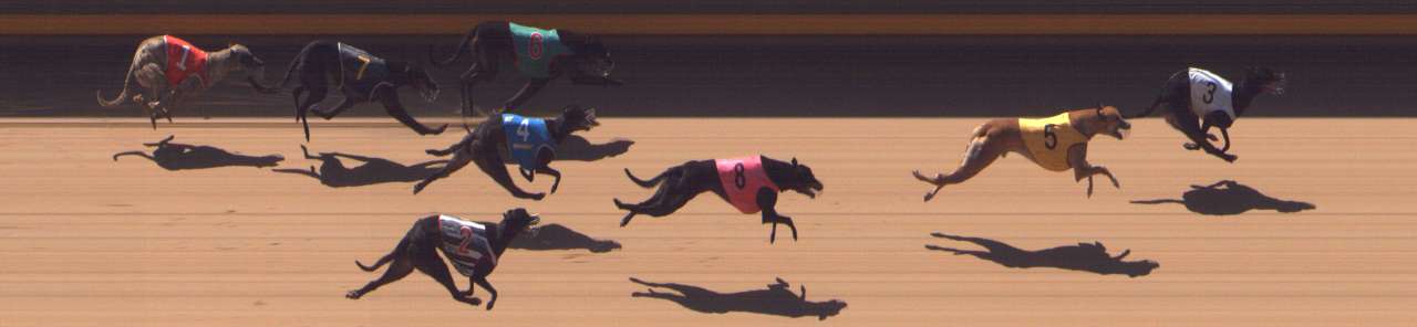 Photo finish for Shepparton Race 7