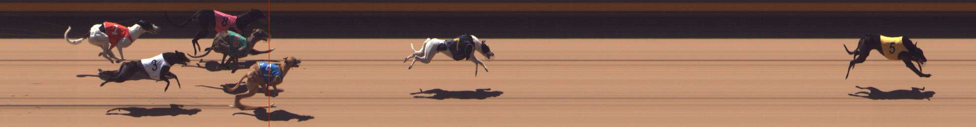 Photo finish for Shepparton Race 9