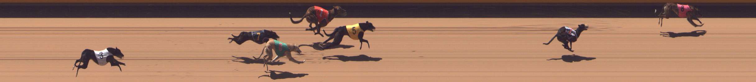 Photo finish for Shepparton Race 10