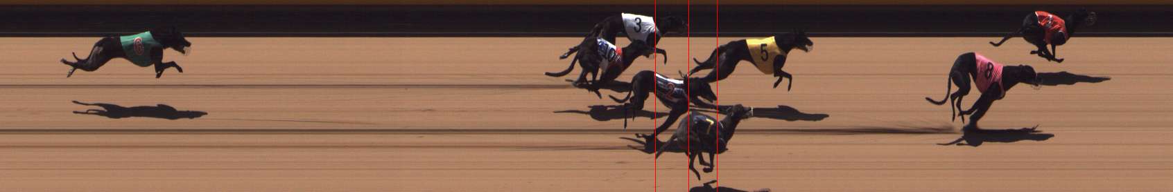 Photo finish for Shepparton Race 11