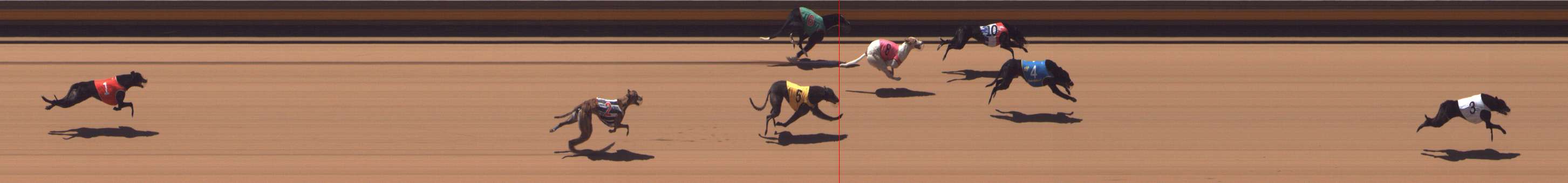 Photo finish for Shepparton Race 12