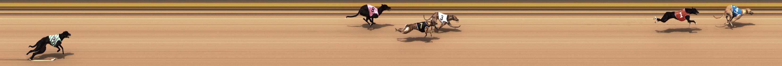 Photo finish for Shepparton Race 1