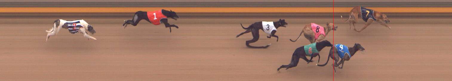 Photo finish for Shepparton Race 3