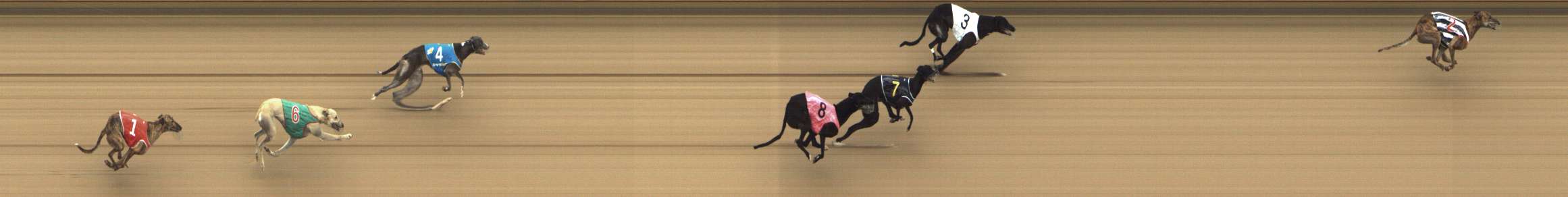 Photo finish for Shepparton Race 5