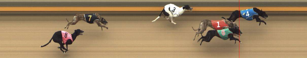 Photo finish for Shepparton Race 6
