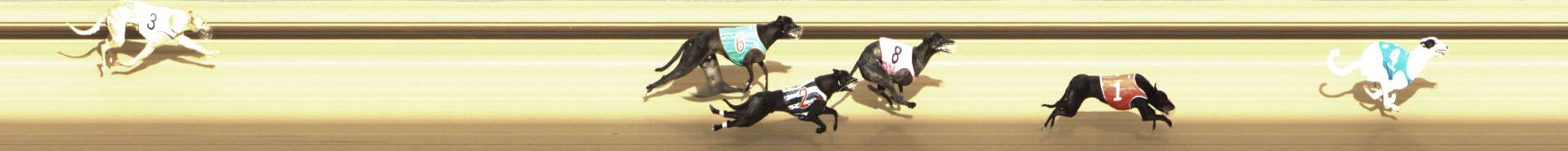 Photo finish for Shepparton Race 7