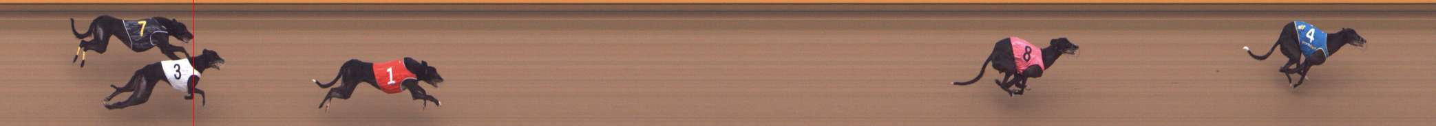 Photo finish for Shepparton Race 8