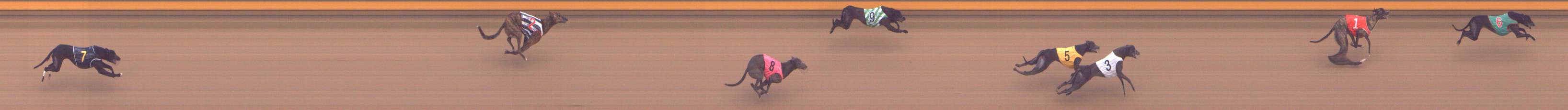 Photo finish for Shepparton Race 9