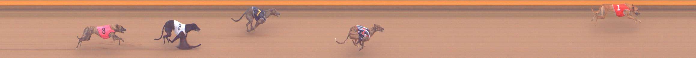 Photo finish for Shepparton Race 10